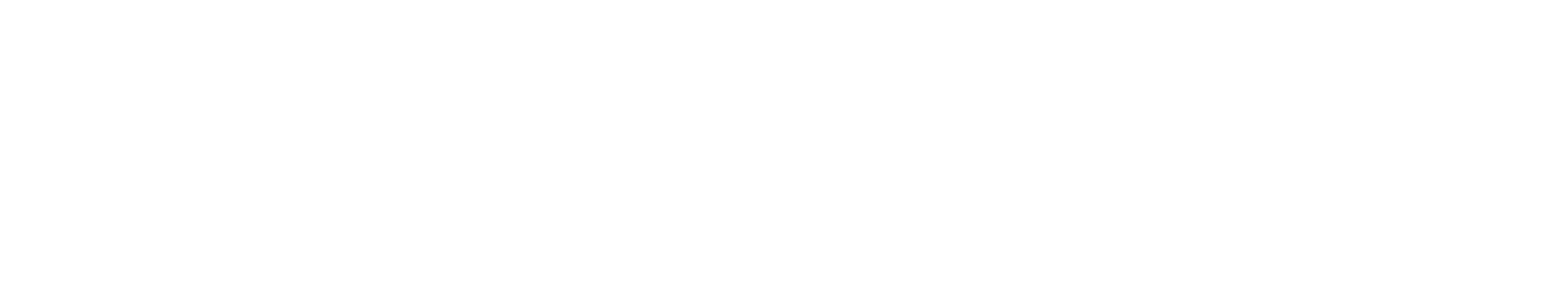 Zumcy Logo